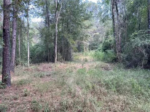 1074 Raborn Rd, Mccomb, MS 39648 photo 5