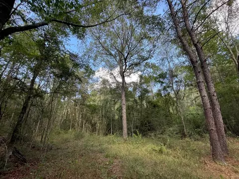 1074 Raborn Rd, Mccomb, MS 39648 photo 9