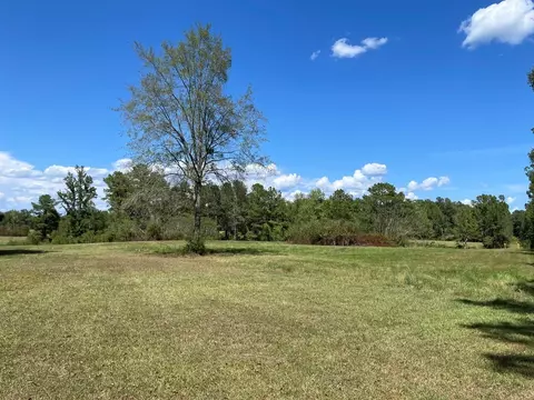 1074 Raborn Rd, Mccomb, MS 39648 photo 3