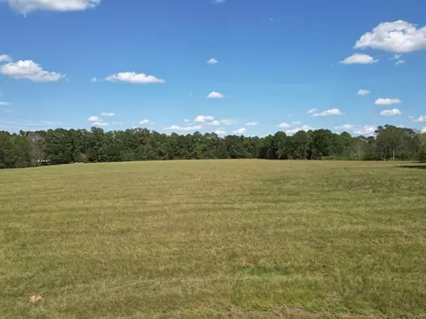 1074 Raborn Rd, Mccomb, MS 39648 photo 39