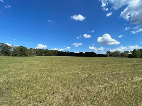 1074 Raborn Rd, Mccomb, MS 39648 photo 35