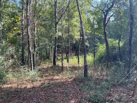 1074 Raborn Rd, Mccomb, MS 39648 photo 6