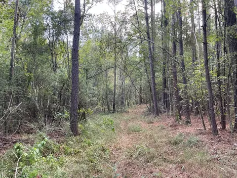 1074 Raborn Rd, Mccomb, MS 39648 photo 7