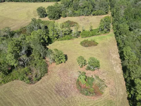 1074 Raborn Rd, Mccomb, MS 39648 photo 46