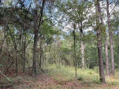 1074 Raborn Rd, Mccomb, MS 39648 photo 8