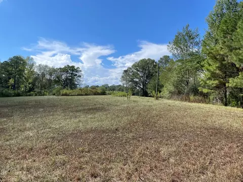 1074 Raborn Rd, Mccomb, MS 39648 photo 4