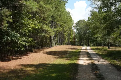 1026 Pigeon Ln, Summit, MS 39666 photo 18