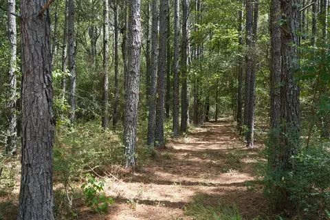 1026 Pigeon Ln, Summit, MS 39666 photo 14