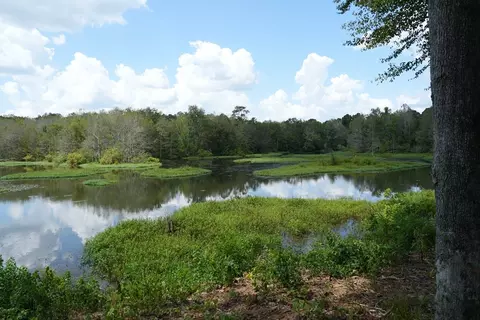 1026 Pigeon Ln, Summit, MS 39666 photo 23