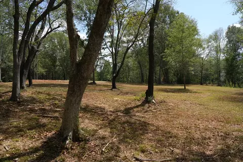 1026 Pigeon Ln, Summit, MS 39666 photo 8