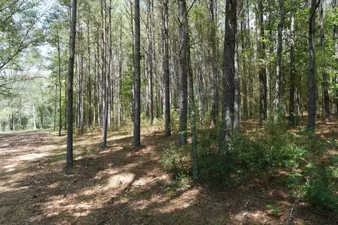 1026 Pigeon Ln, Summit, MS 39666 photo 13