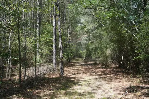 1026 Pigeon Ln, Summit, MS 39666 photo 16