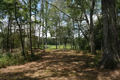 1026 Pigeon Ln, Summit, MS 39666 photo 12