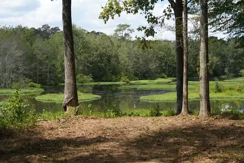 1026 Pigeon Ln, Summit, MS 39666 photo 2