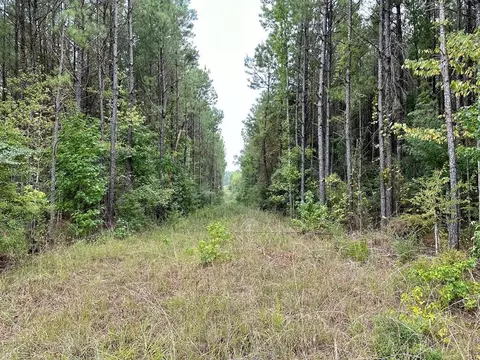 tbd Shannon Dr, Bogue Chitto, MS 39629