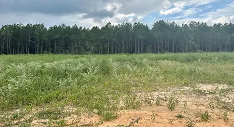 2009 Cowboy Trl, Bogue Chitto, MS 39629