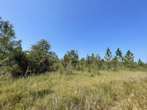 24980 E Wood Ln, Lucedale, MS 39452