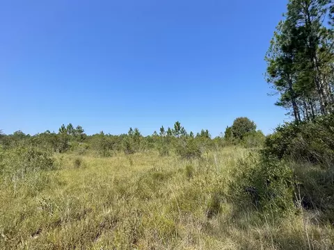 24984 E Wood Ln, Lucedale, MS 39452