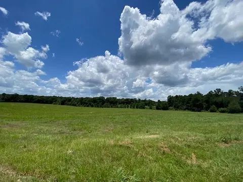 1154 Herbert Smith Rd, Mccomb, MS 39648 photo 45