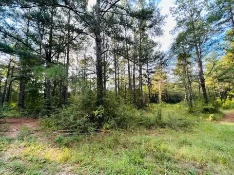 tbd Pine Ridge Rd, Tylertown, MS 39667