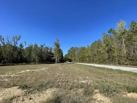 1087 Gradyville Rd, Magnolia, MS 39652