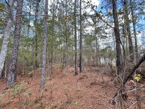 0 Garrett Dr, Lumberton, MS 39455