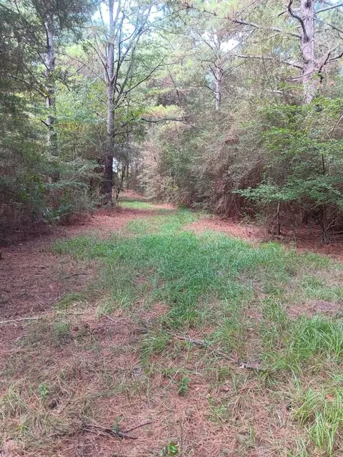 Nnn Coppersford Road, Tylertown, MS 39667