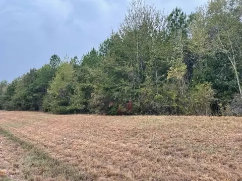 0000 Hwy 33 N, Roxie, MS 39661 photo 2