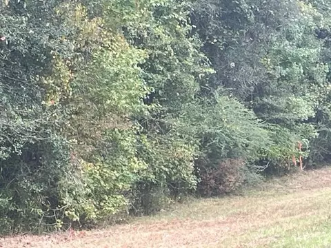 0000 Hwy 33 N, Roxie, MS 39661 photo 4