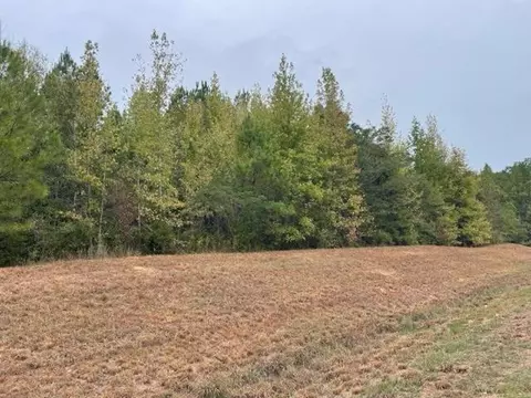 0000 Hwy 33 N, Roxie, MS 39661