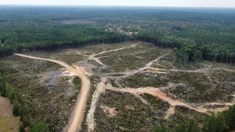 1 Cr 1115, Kosciusko, MS photo 3