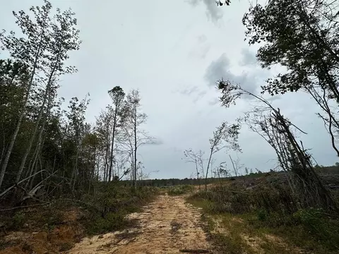1 Cr 1115, Kosciusko, MS photo 11