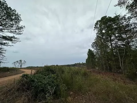 1 Cr 1115, Kosciusko, MS photo 8