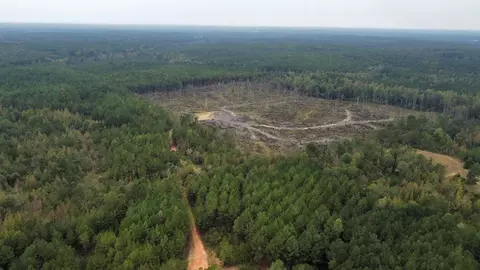 1 Cr 1115, Kosciusko, MS photo 4