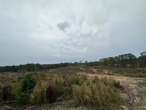 1 Cr 1115, Kosciusko, MS photo 10
