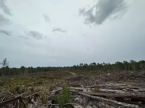 1 Cr 1115, Kosciusko, MS photo 13