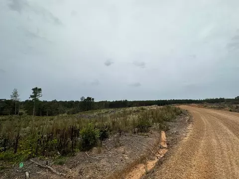 1 Cr 1115, Kosciusko, MS photo 9