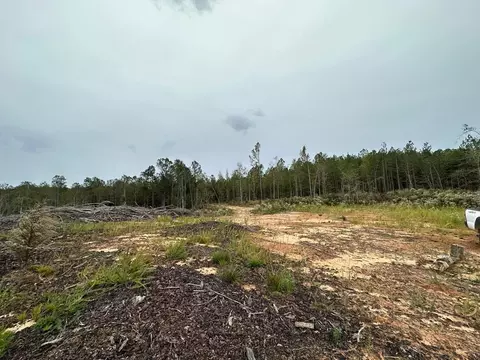 1 Cr 1115, Kosciusko, MS photo 14