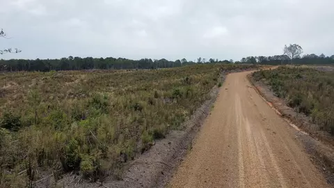 1 Cr 1115, Kosciusko, MS photo 2