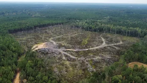 1 Cr 1115, Kosciusko, MS photo 5