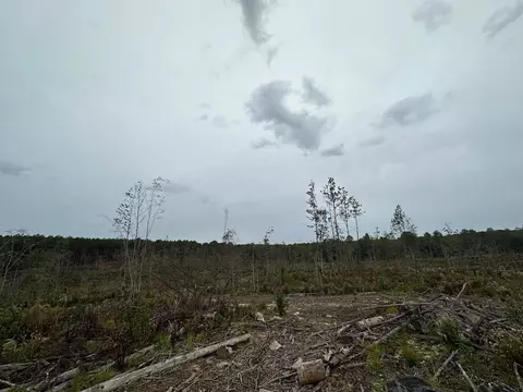 1 Cr 1115, Kosciusko, MS photo 12