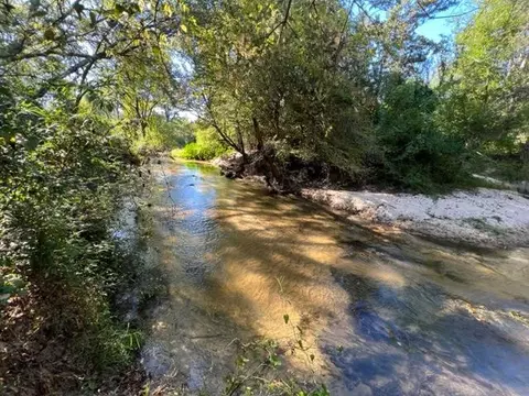 tbd Rials Creek Rd, Mendenhall, MS 39114