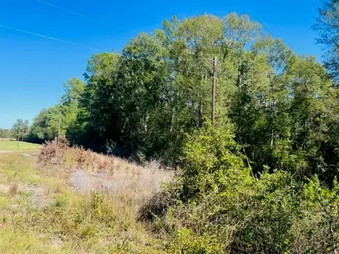tbd Elmer Howell Rd, Jayess, MS 39641 photo 4