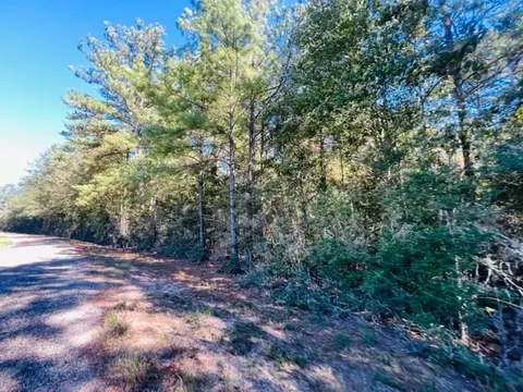 tbd Elmer Howell Rd, Jayess, MS 39641 photo 7