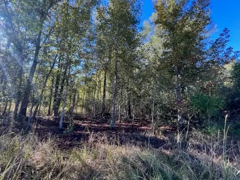 tbd Elmer Howell Rd, Jayess, MS 39641 photo 2