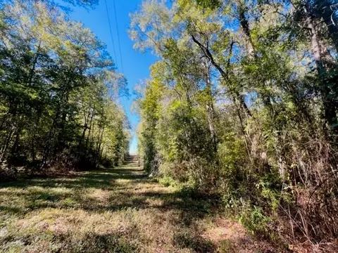 tbd Elmer Howell Rd, Jayess, MS 39641 photo 6