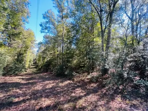 tbd Elmer Howell Rd, Jayess, MS 39641 photo 5