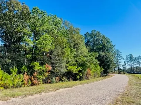tbd Elmer Howell Rd, Jayess, MS 39641 photo 3
