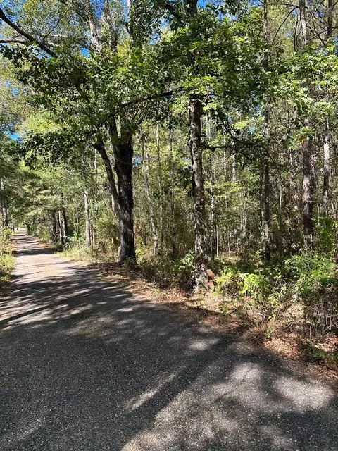 00 Hill Ln, Summit, MS 39666