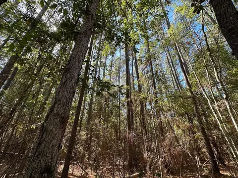 1086 Highway 27, Jayess, MS 39641 photo 8